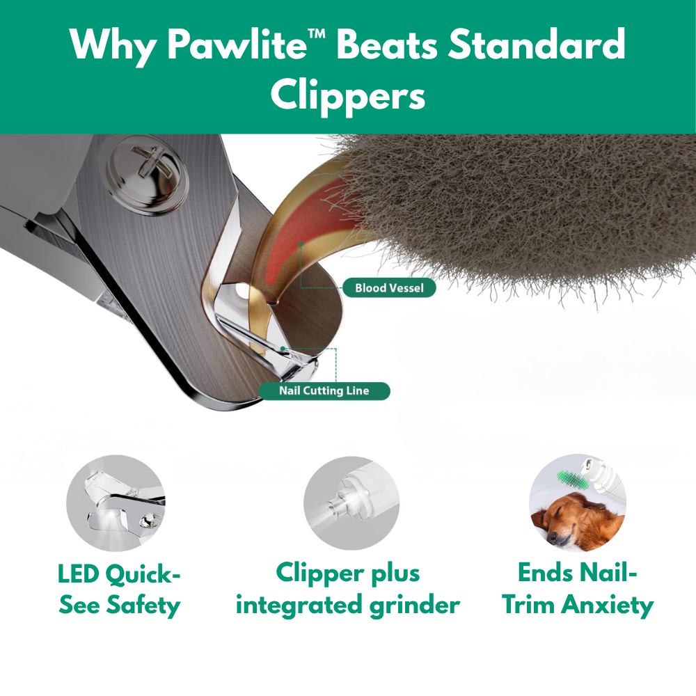 Pawlite™ Quick See Clipper
