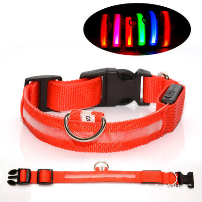 Pawlite™ Light Up Dog Lead